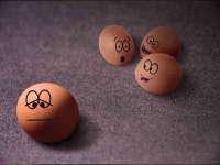 江苏林前林后家居有限公司