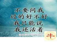江苏林前林后家居有限公司
