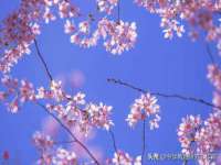 江苏林前林后家居有限公司