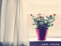 江苏林前林后家居有限公司