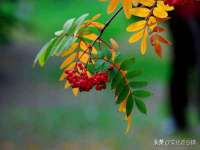 江苏林前林后家居有限公司