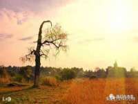 江苏林前林后家居有限公司