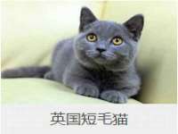 江苏林前林后家居有限公司