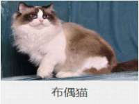 江苏林前林后家居有限公司