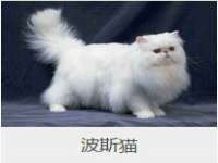 江苏林前林后家居有限公司