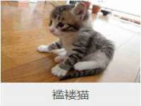 江苏林前林后家居有限公司