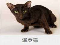江苏林前林后家居有限公司
