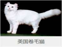 江苏林前林后家居有限公司