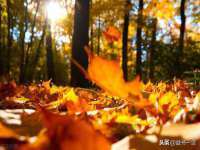江苏林前林后家居有限公司
