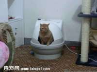 江苏林前林后家居有限公司