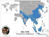 江苏林前林后家居有限公司