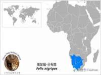 江苏林前林后家居有限公司
