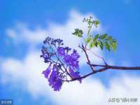 江苏林前林后家居有限公司