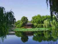 江苏林前林后家居有限公司