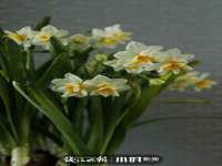 江苏林前林后家居有限公司