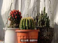 江苏林前林后家居有限公司