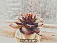 江苏林前林后家居有限公司