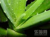 江苏林前林后家居有限公司