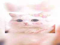 江苏林前林后家居有限公司