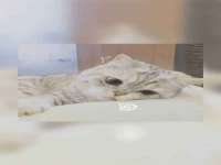 江苏林前林后家居有限公司