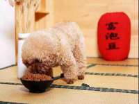 江苏林前林后家居有限公司