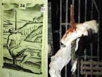 江苏林前林后家居有限公司