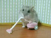 江苏林前林后家居有限公司