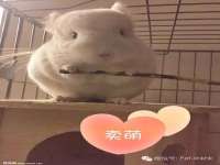江苏林前林后家居有限公司