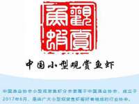 江苏林前林后家居有限公司