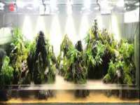 江苏林前林后家居有限公司