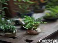 江苏林前林后家居有限公司