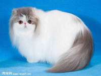 江苏林前林后家居有限公司