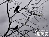 江苏林前林后家居有限公司