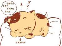 江苏林前林后家居有限公司