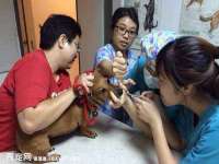 江苏林前林后家居有限公司