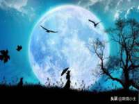 江苏林前林后家居有限公司