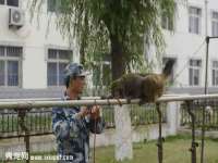 江苏林前林后家居有限公司