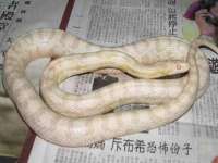 江苏林前林后家居有限公司