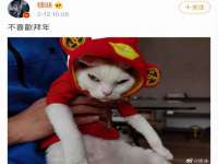 江苏林前林后家居有限公司
