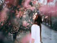 江苏林前林后家居有限公司