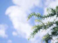 江苏林前林后家居有限公司